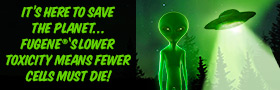 Read our comic! 
